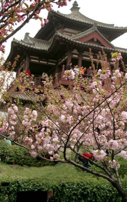 IMG_2337a.jpg