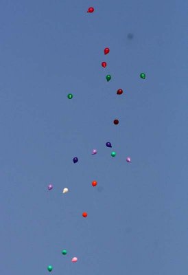 IMG_2799a.jpg