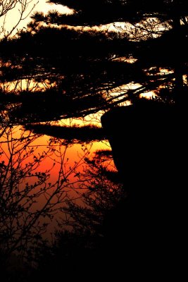 Dawn view