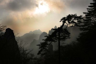 Dawn Image