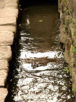 Streamlet through city