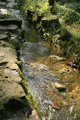 Stream