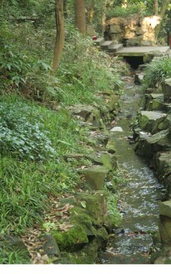 Stream and bridge - Tiger Springs