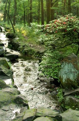 Tiger Springs - Hangzhou