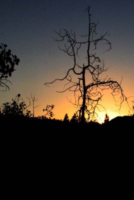 Sunset -Payson Lake Campground