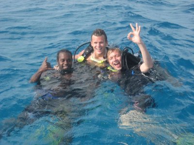 Robins first dive