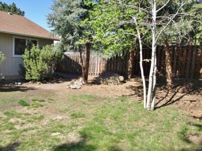 back yard