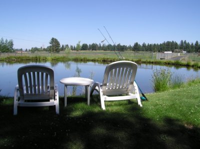 Relaxing around the pond