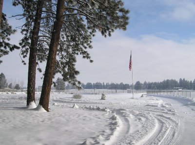 Flag pole