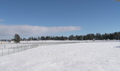 Pasture after a good snow