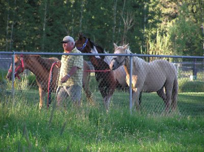 Paul & Horses
