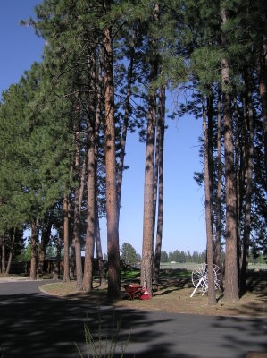 Looking towards the island & pond