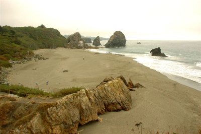 OR Coast1.JPG