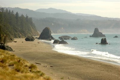 OR Coast2.JPG