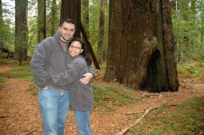 Redwoods05.JPG