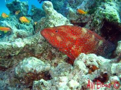 IMG_0048.jpg