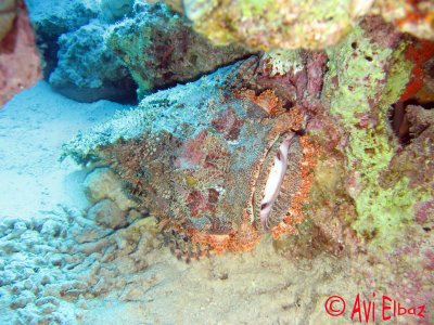 IMG_0058.jpg
