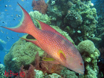 IMG_0073.jpg