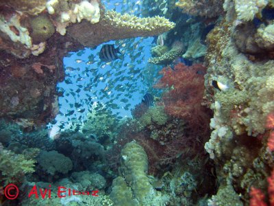 IMG_0076.jpg