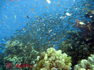 IMG_0078.jpg