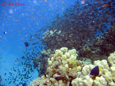 IMG_0079.jpg