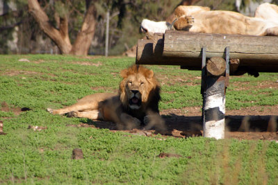 National Park Ramat Gan