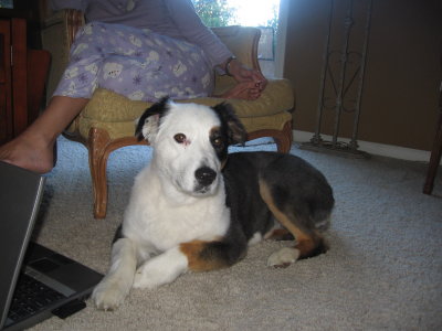 Molly 2007.JPG