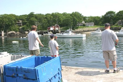 fishing at shaws dock.jpg
