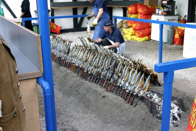 cooking fish.jpg