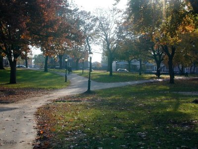 Pathways