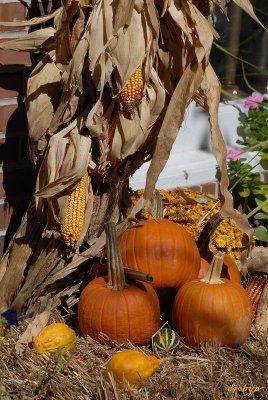 Harvest