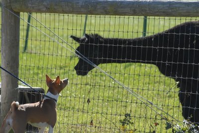 New Friends