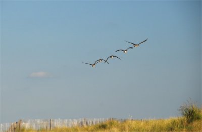 g6/74/755274/3/87343335.f6bCJJTP.jpg