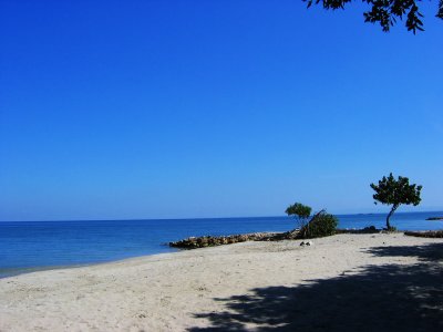 Coveas 301.jpg