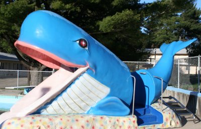 Whale Slide