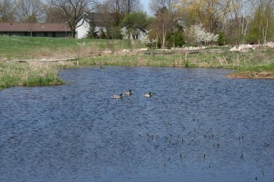 Appleton Memorial Park