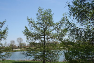 Appleton Memorial Park