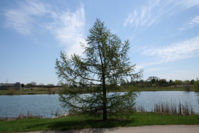 Appleton Memorial Park