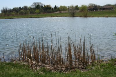 Appleton Memorial Park