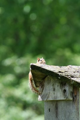 Hanging In There!