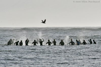 Mavericks 2007 Opening Party and Paddle Out - Part 1 - Copyright Elisse Marinacci