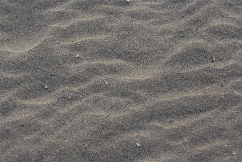 IMG_9988 Large.JPG