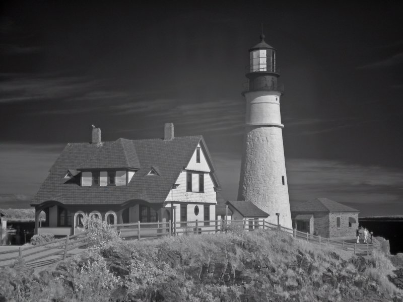 DSCN6390.jpg