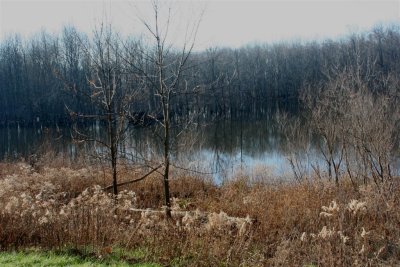 Skokie Lagoon 06