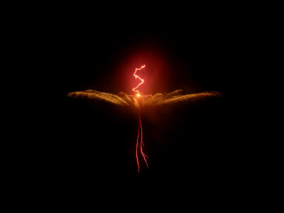 Fireworks My Way