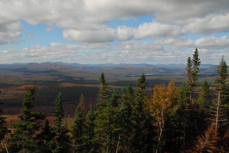 Fall colours as seen from White Face Mountain