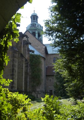 Hildesheim 1000 year old Rosebush - Domhof