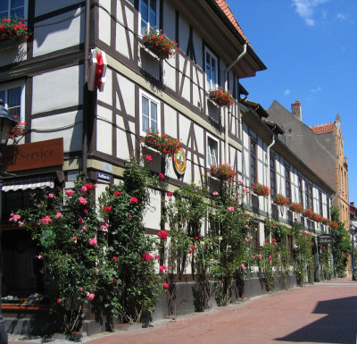 Hildesheim -die Rosenstadt