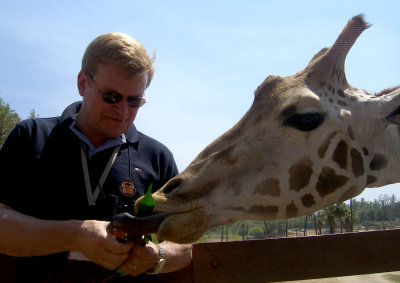 San Diego feeding the giraffe