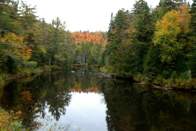 Ausable reflections